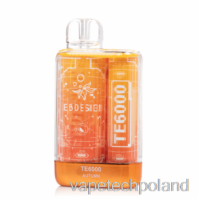 Vape Tech Polska Eb Te6000 Jednorazowe Jesień